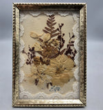 Tiny Brass Framed Dried Flowers & Ferns, Lace Trim, Glass 3.5" x 2.5" Signed Dried Flower