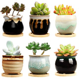 6PCs 2.5 Flower Pot Ceramic Succulent Planter Pots With Drainage For Garden Set Garden Plants