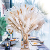 95 PCS Natural Pampas Grass Decor Bouquet | Boho Dried Floral Arrangement Center Flowering Plants