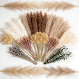 710Pcs Dried Pampas Grass & Flowers - Boho Decor for Weddings, Centerpieces, Hom Pampas Grass