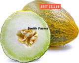 10+ Seeds Green Gulyabi Melon Cantaloupe Easy Vegetable Garden Planting Edible Garden Plants