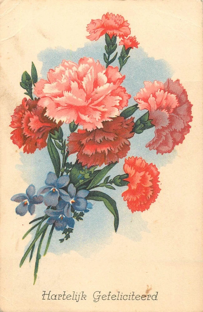 Floral greetings postcard with carnation bouquet and blue flowers; 'Hartelijk Gefeliciteerd'