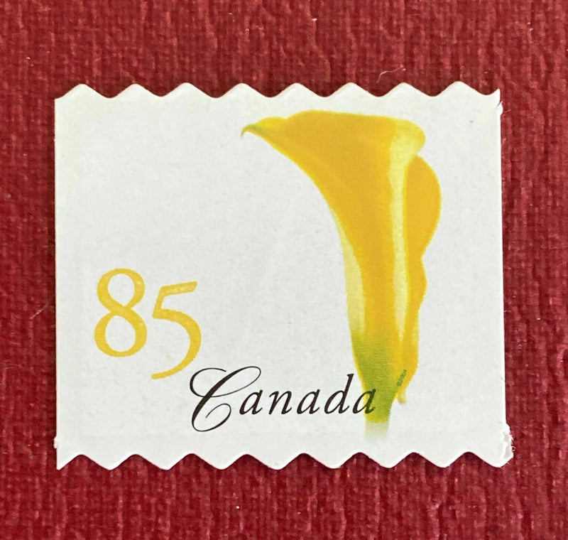 Die-cut Canada stamp with yellow calla lily, 'Canada' script, and 85
