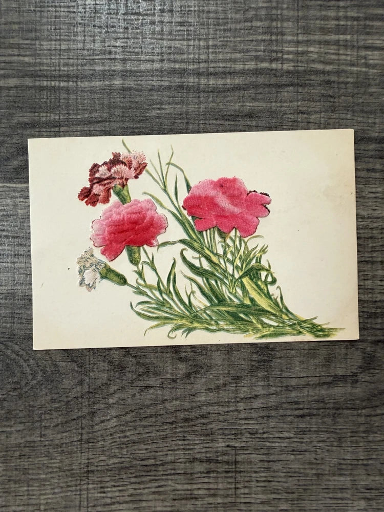 Carnation flower divided back postcard with pink and red blossoms and green leaves