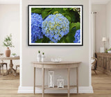 Hydrangeas Flower Print, Wall Art, Blue Flower Framed Nature Wall Art, Floral Hydrangea
