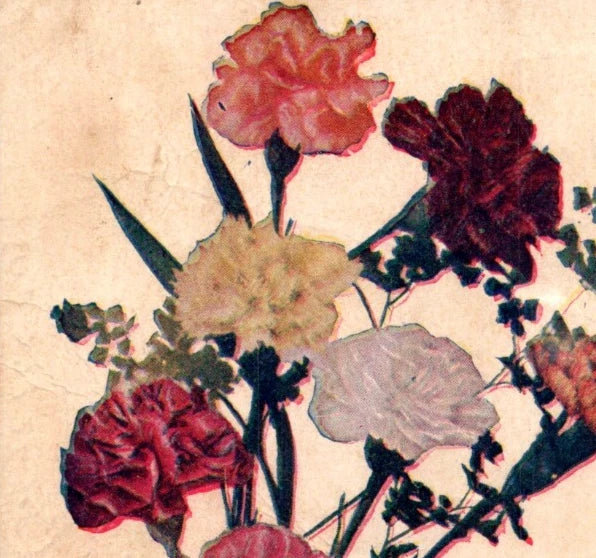 Antique printed postcard with red and dark carnation flowers bouquet