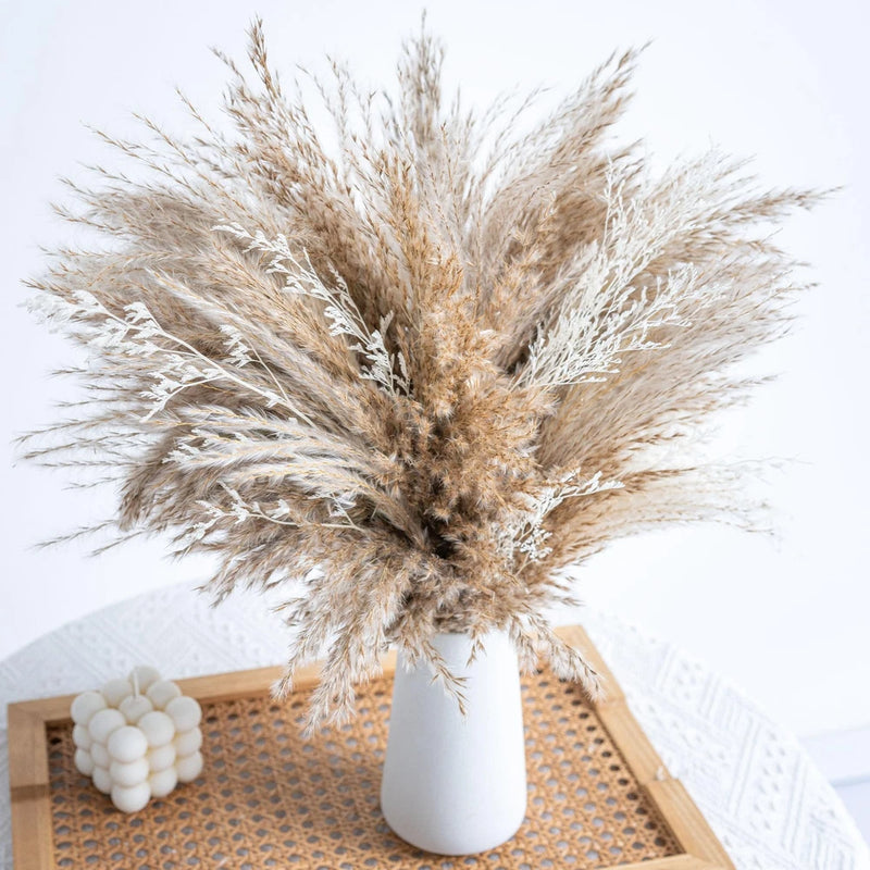 Fluffy Boho Decor Dried Grass - Dried Pampas Grass Short pompas Grass Vase Fi... Pampas Grass