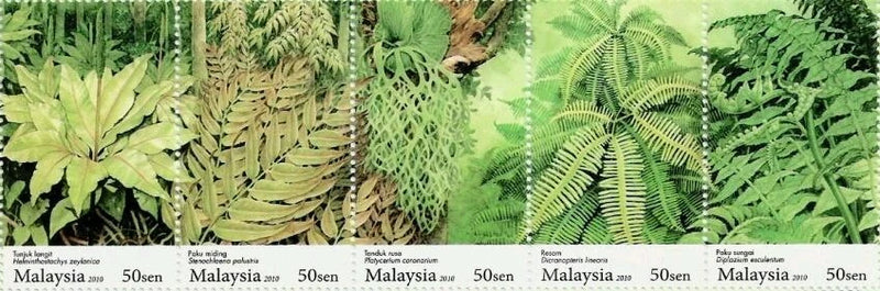 *FREE SHIP Fern Of Malaysia 2010 Flower Plant Flora (stamp in strip) MNH Flowering Plants