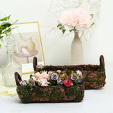 2 Green Chocolate Brown Natural Moss Rectangular Planter Boxes Handles Sale Green Plant