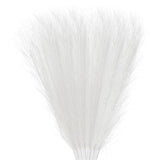 8Pcs Pampas Grass 17.7