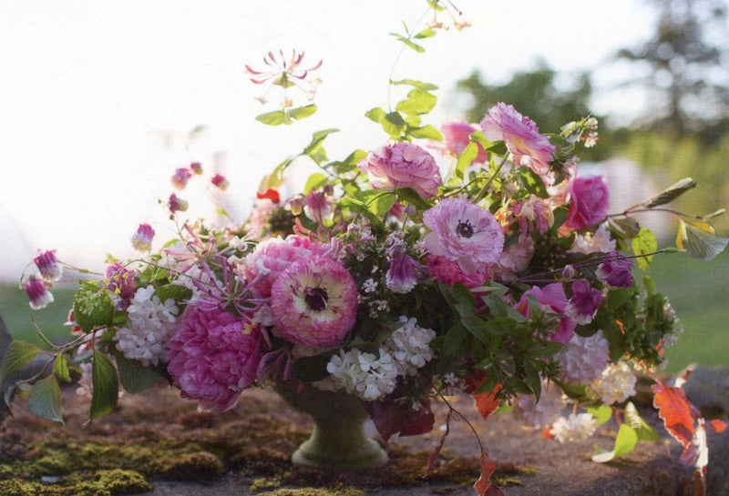 Ranunculus and Honeysuckle, 2019 --New POSTCARD Ranunculus