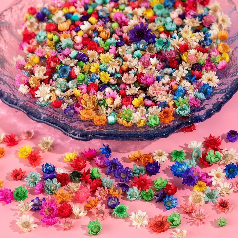 710PCS Dried Flowers for Resin Crafts, Small Dried Flowers for Nails, Real Natur Dried Flower
