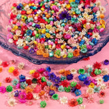 710PCS Dried Flowers for Resin Crafts, Small Dried Flowers for Nails, Real Natur Dried Flower