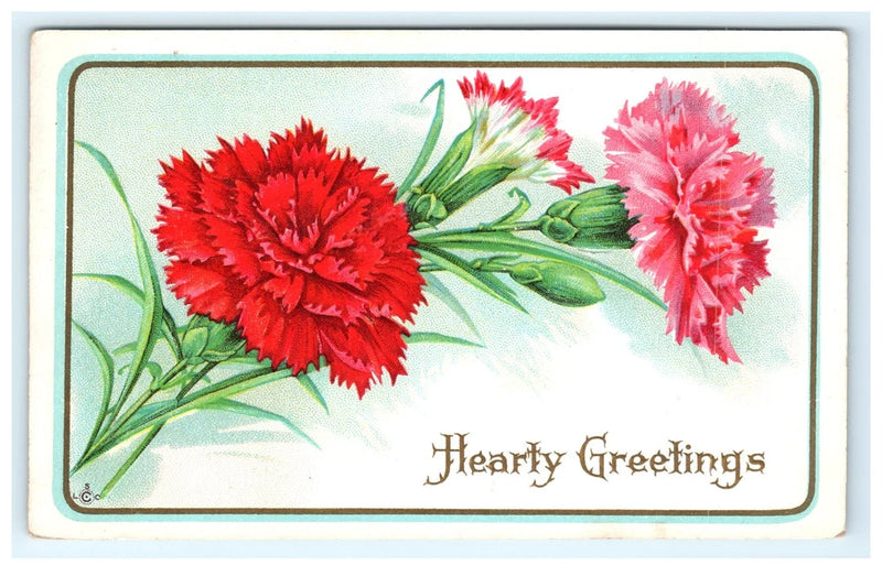 Vintage Hearty Greetings Postcard Red Pink Carnations Flowers S & Co. Divided Carnation