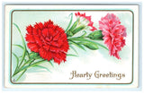 Vintage Hearty Greetings Postcard Red Pink Carnations Flowers S & Co. Divided Carnation