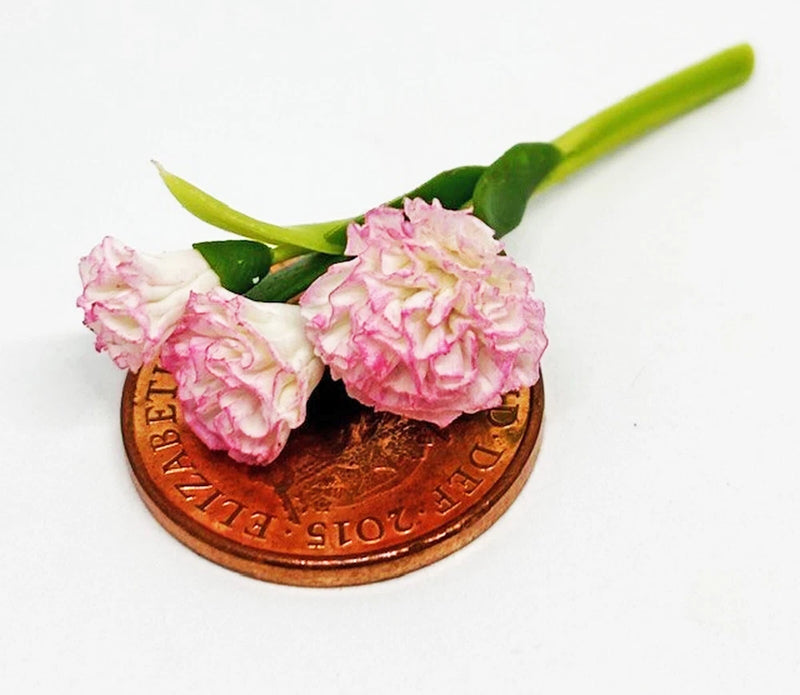 Miniature carnations bunch of 3, pink and white flowers with green stems