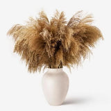 50 PCS Dried Pampas Grass Natural Dried Reed flower Bunch wedding Bouquets Home Pampas Grass