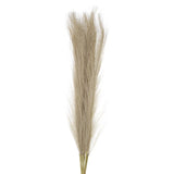 12Pcs Faux Pampas Grass,21" Fake Pampas for Wedding Decoration,Brown Pampas Grass