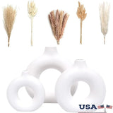 Set of 3 Decorative Ceramic Vases W/ 65 Pieces Dried Pampas Grass Home Decor New Pampas Grass