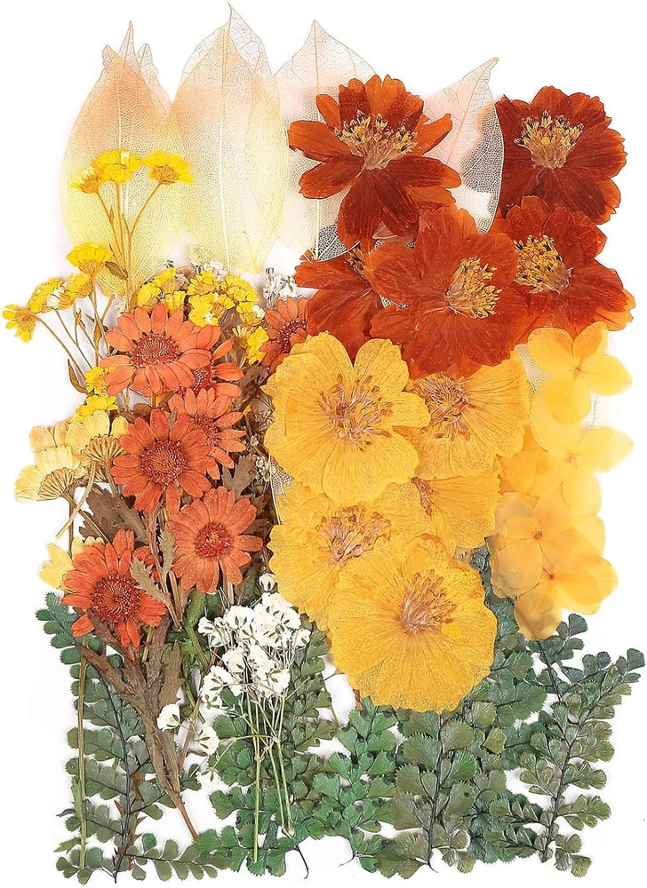 Assorted pressed dried flowers and leaves, orange and yellow blossoms for DIY resin