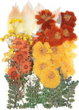100 PCS Real Dried Pressed Flowers Leaves Natural Plant Herbarium for DIY Resin Dried Flower
