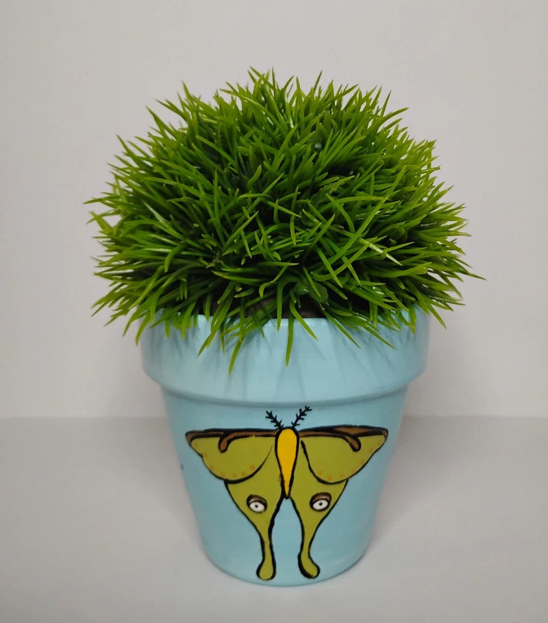 Eco-Friendly Terracotta Plant Pot Ð Ideal for Home Decor or Garden Use Garden Plants