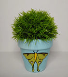 Eco-Friendly Terracotta Plant Pot Ð Ideal for Home Decor or Garden Use Garden Plants