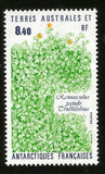 1990 FRANCE SOUTH ANTARCTIC TERRITORY RANUNCULUS PSEUDO TRULLIFOLIA FLOWER MINT Ranunculus