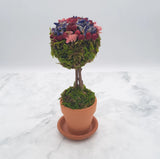 Handmade Topiary Dried Flower Arrangement w/ Mini Roses Ð 3-Petal Topiary Dried Flower