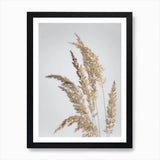 Golden Pampas Grass Art Print Framed Wall Art Poster Canvas Print Picture Pampas Grass