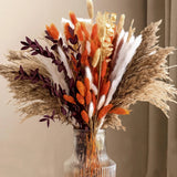 130Pcs Real Orange Pampas Grass, 17" Natural Dried Flowers Boho Winter Decor,... Pampas Grass