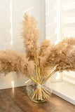 Natural Dried Pampas Grass 100 Cm 10x Tall Real Flowers Home Decor Bouquet Pampas Grass