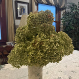 Dried Hydrangea Flowers 8-Pack, Shades of Lime/Cream/wedding/holiday/boho decor Hydrangea