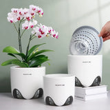 5 inch Orchid Pots with Holes for Repotting 5 Inch, Plain White,coutured  98.7% positive (2.2K) Orchids