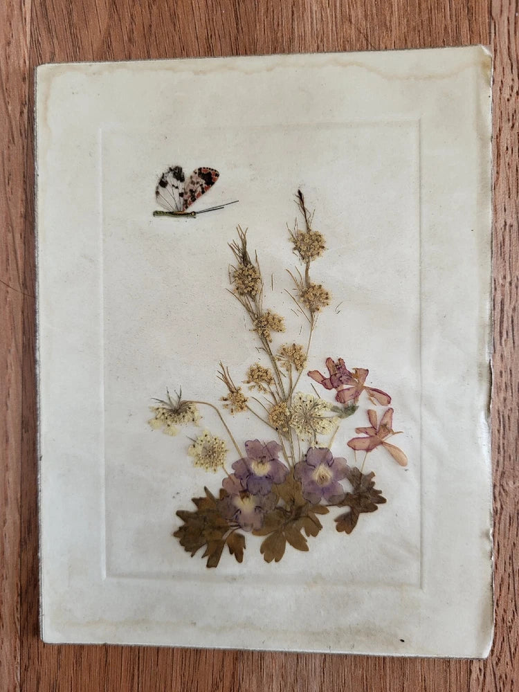 Rectangular dried flower art panel with butterfly accents and mixed pressed blooms