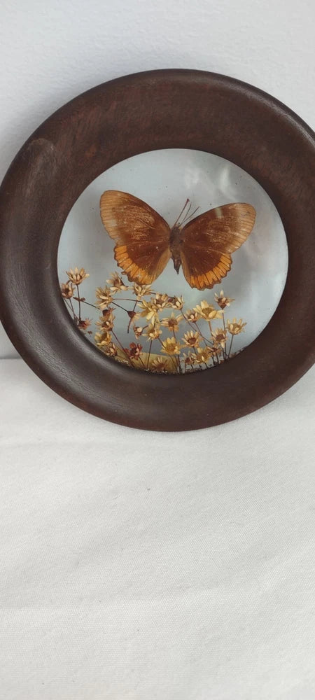 Round wooden frame dried flower butterfly wall art