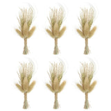 6 Pcs Mini Pampas Grass Dried Flower Bouquet Baby's Breath Boho DIY Gift Brown Dried Flower