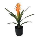 16'' Artificail Bromeliad Plant Greenery Hand Touch Leaf Flower in Pot for In... Green Plant