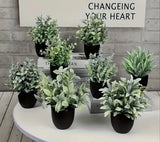 6 Pack Artificial Eucalyptus Bonsai Plants Green Plant
