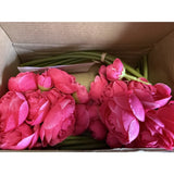 4 Bouquets Hot Pink 12" Silk Mini Ranunculus Artificial Flowers Decoration Craft Bouquet