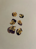 Pressed Dried Flowers All Natural Not Dyed Or Coloured Viola Flowers Purple L1 Dried Flower