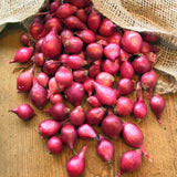 Karmen Red Onion Sets (Bulbs) Seeds - For 2026 Planting Gardening Sweet Garden Plants