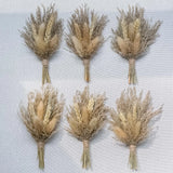 Mini Dried Flower Bouquet Pack of 6 Pampas Dried Flower Bouquet Bridal Shower... Dried Flower