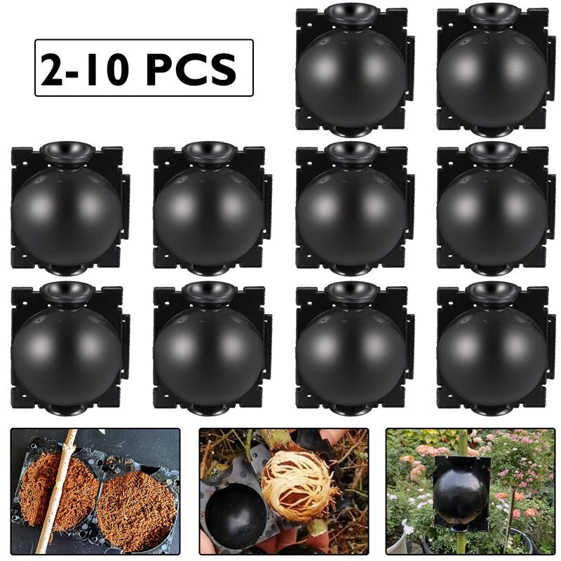 Lot High Pressure Propagation Plant Rooting Device Ball Box Growing Graft Garden Garden Plants