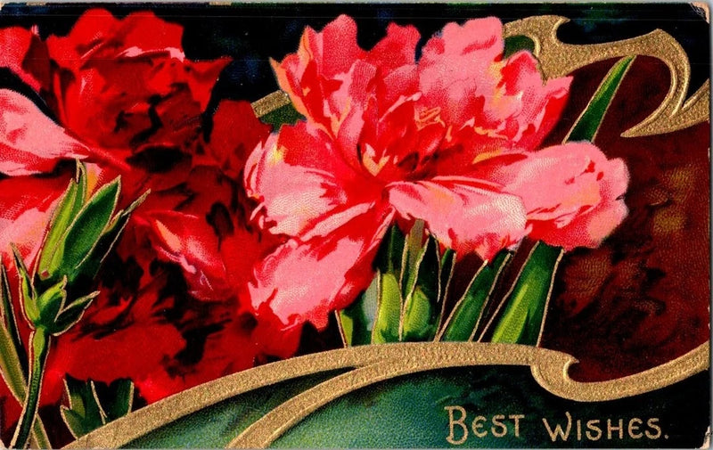 Vintage 1909 Red Carnation Floral Best Wishes Postcard Printed in Germany Carnation