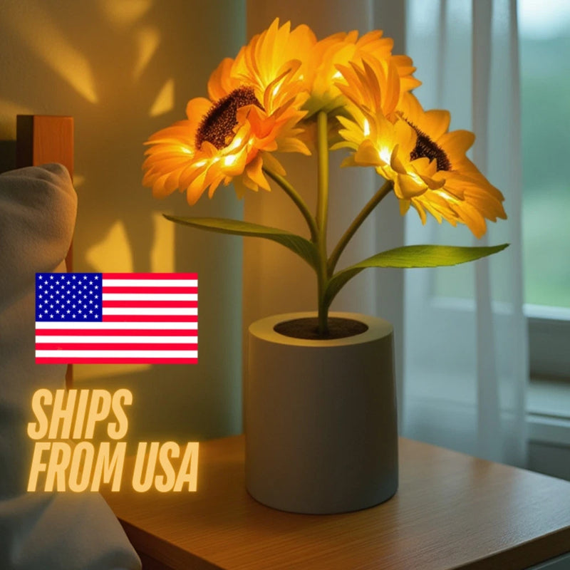Sunflower LED table lamp with three yellow flower heads in a gray base