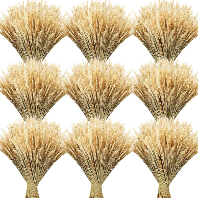 600 Stems 16Inch Natural Dried Wheat Stalks for Flower Arrangement Wedding Table Dried Flower