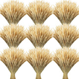 600 Stems 16Inch Natural Dried Wheat Stalks for Flower Arrangement Wedding Table Dried Flower