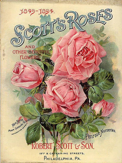 Vintage metal sign with pink roses and floral text, Robert Scott & Son at bottom