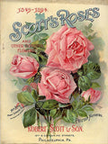 Vintage Scotts Roses Philadelphia Nursery Ad Metal Sign FREE SHIPPING Roses
